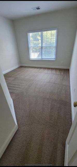 Carpet Cleaning in Miami, FL (1)