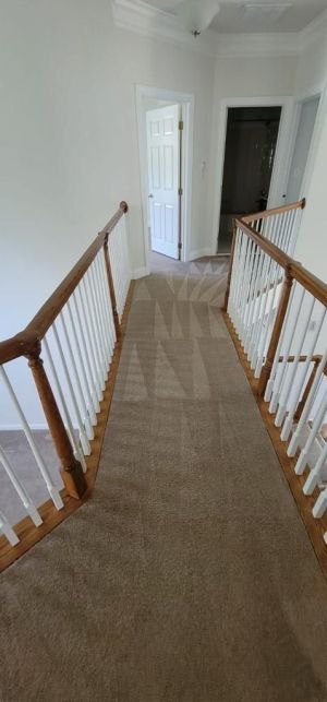 Carpet Cleaning in Miami, FL (2)